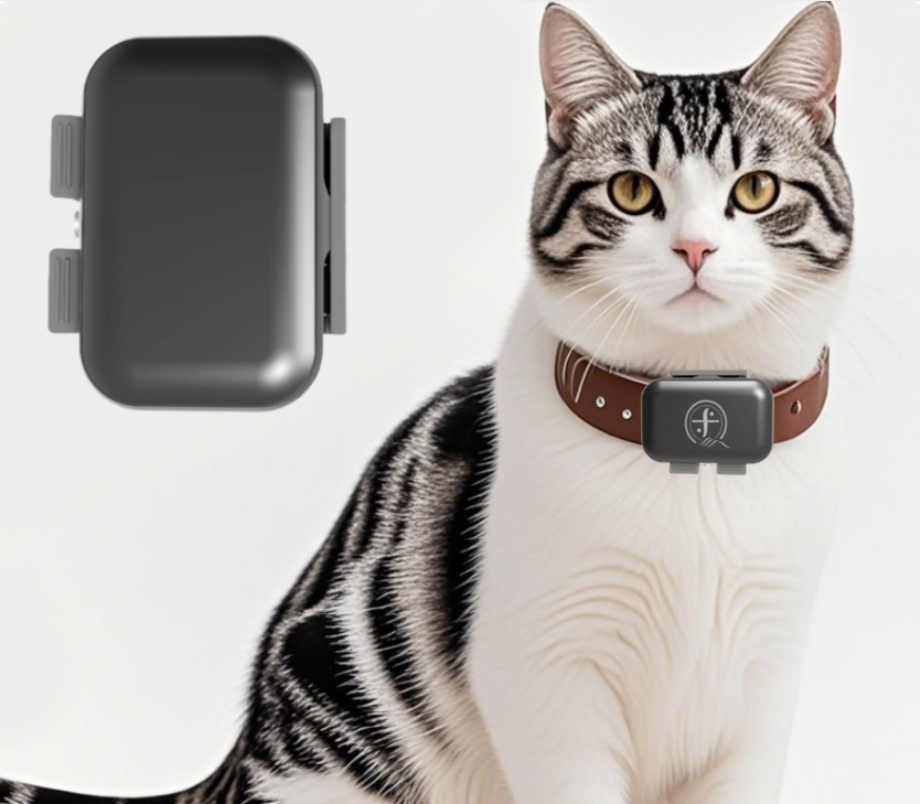 Why is a Pet GPS Tracker better than an AirTag for tracking loved Pet?